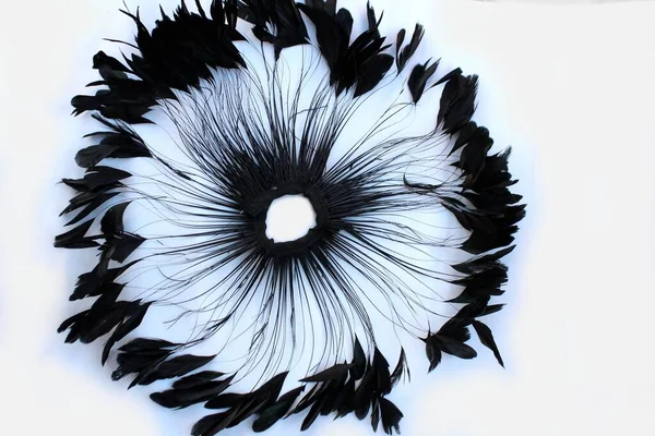 白い背景に黒い羽のフレーム 白を基調としたボア 羽のスカーフ で作られたエモスタイルのフレーム エキゾチックな柔らかい美しい黒い羽 周囲には羽が広がっていた 暗い色のファン ロイヤリティフリーのストック写真