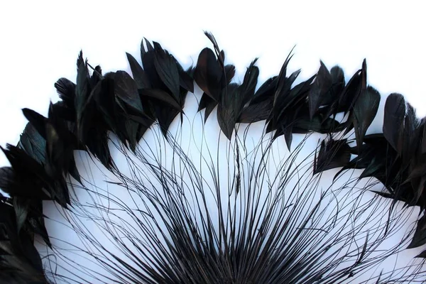 白い背景に黒い羽のフレーム 白を基調としたボア 羽のスカーフ で作られたエモスタイルのフレーム エキゾチックな柔らかい美しい黒い羽 周囲には羽が広がっていた 暗い色のファン ロイヤリティフリーのストック写真