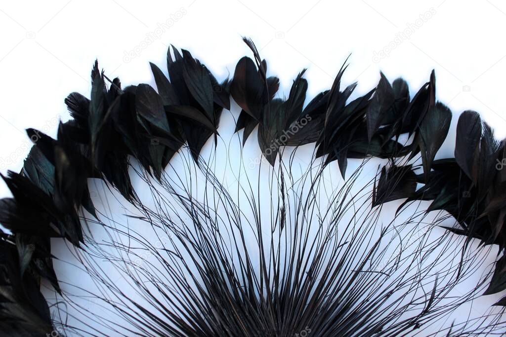 Frame of black feathers on a white background. Emo style frame made of boa (feather scarf) isolated on white. exotic soft beautiful black feather. Feathers laid out around. A fan in dark colors.