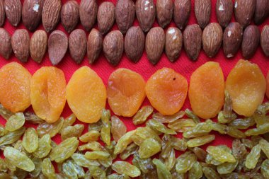 Fındık, kurutulmuş meyve ve tohumlar. Kurumuş meyve ve fındık. Yahudi bayramı sembolleri. Badem, kuru üzüm ve kuru kayısılar kırmızı zemin üzerinde bir çizgi ile serili..