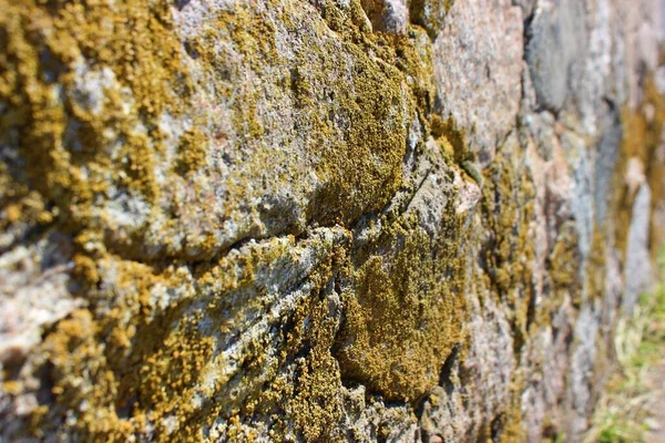 Steinmauer Mit Flechten Bedeckt Stein Hintergrund Mit Flechten Bedeckt — Stockfoto