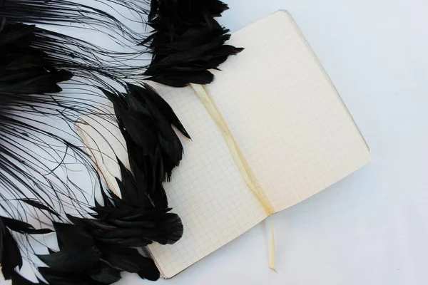 An opened notebook on a white background with a sprig of lilac and black long feathers. Open notebook isolated on white background with place for text with feathers and lilac ..