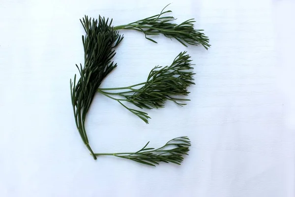 Letter E made from green dill isolated on a white background. Alphabet made of vegetables and herbs. Healthy eating. Capital letter E made from natural green products on a white background