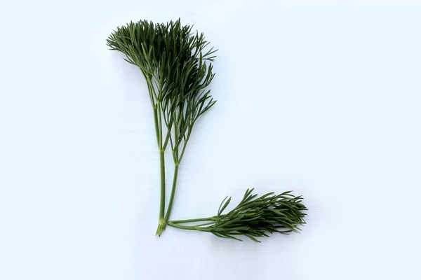 Brev Gjord Grön Dill Isolerad Vit Bakgrund Alfabetet Består Grönsaker — Stockfoto