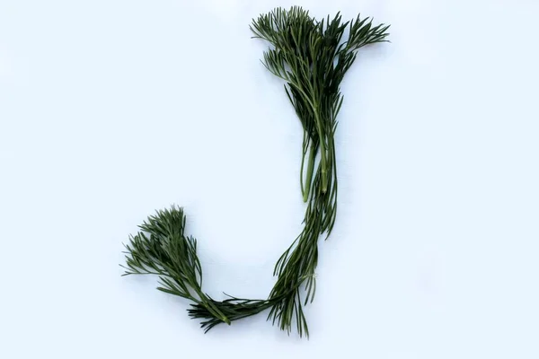 List Wykonany Zielonego Koperku Odizolowanego Białym Tle Alfabet Warzyw Ziół — Zdjęcie stockowe
