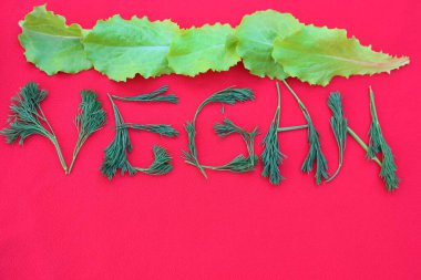 Dereotundan ve ottan yazılmış vejetaryen. Tasarım kavramları. Kırmızı arka planda vejetaryen kelimesi, üst manzara. Vejetaryen gıda konsepti