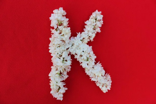 배경에 라일락 꽃으로 만들었습니다 평평하게 꽃으로 식품을 알파벳의 — 스톡 사진