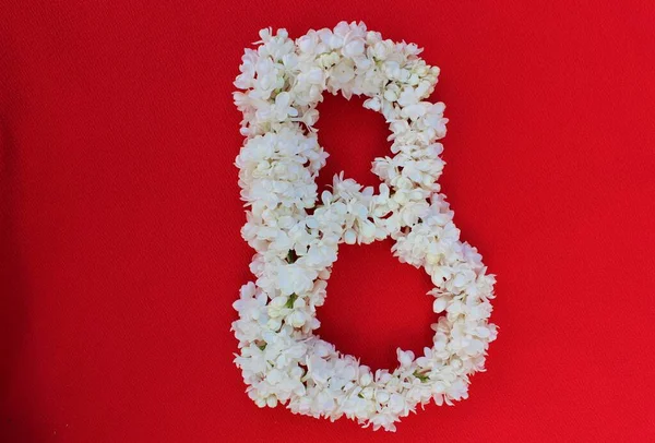 Letter B made from flowers of white lilac on a red background. Flowers composition. Flat lay. Letter B made of white flowers. Spring concept. Floral letters of the alphabet for design and decorati