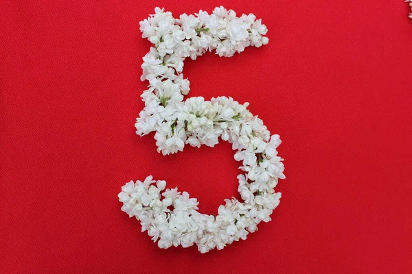 Liczba Jest Napisana Białymi Liliowymi Kwiatami Czerwonym Tle Numer Pięć — Zdjęcie stockowe