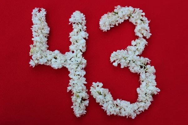 Liczba Jest Napisana Białymi Liliowymi Kwiatami Czerwonym Tle Numer Czterdzieści — Zdjęcie stockowe