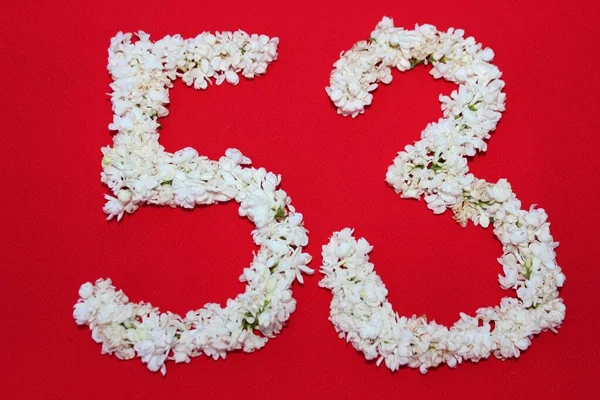 Liczba Jest Napisana Białymi Liliowymi Kwiatami Czerwonym Tle Numer Pięćdziesiąt — Zdjęcie stockowe