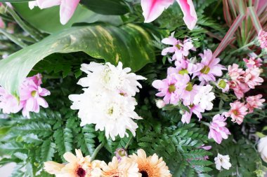 Arka plan olarak güzel taze çiçekler