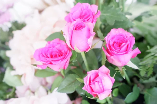 beautiful pink flowers as a background