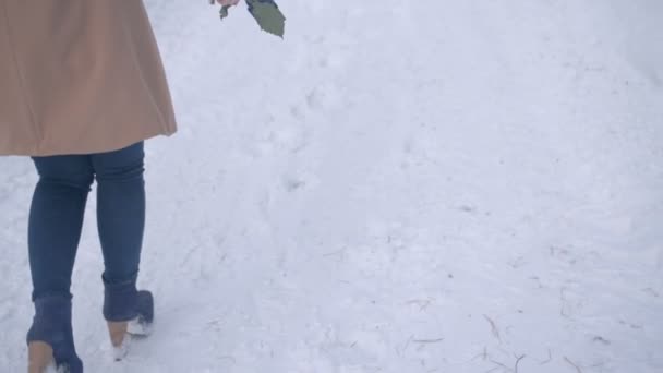 A lány kék rózsát dob a hóra. — Stock videók