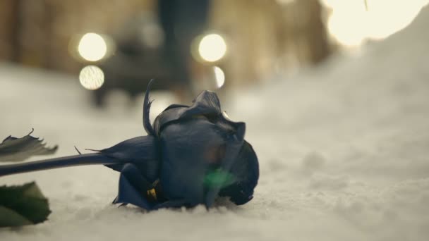 Blume liegt auf dem Schnee vor dem Hintergrund läuft das Mädchen ins Auto — Stockvideo