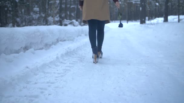 Κορίτσι με ένα μπλε τριαντάφυλλο περπατά μέσα από το δάσος πίσω όψη — Αρχείο Βίντεο