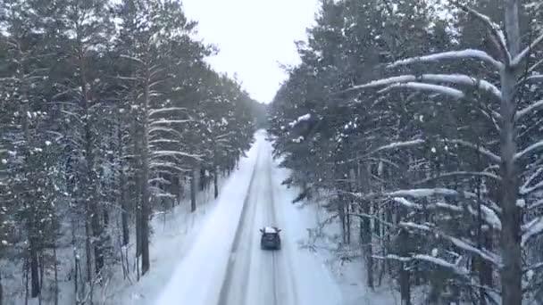 Вид с воздуха на серый автомобиль, движущийся по дороге в лесу — стоковое видео