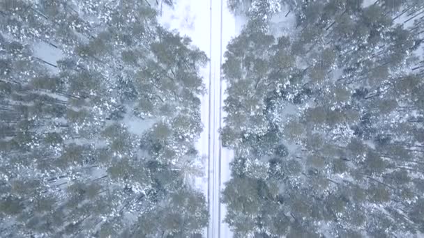 Sorvolare la strada nella foresta in inverno2 — Video Stock