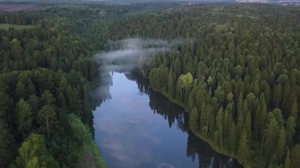 Vuelo sobre el lago con niebla 4 — Vídeos de Stock
