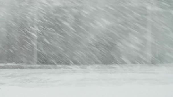 L'homme nettoie la neige avec un lance-neige de gauche à droite — Video