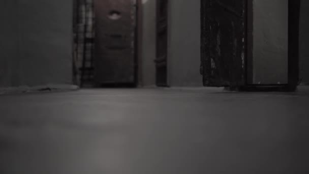 Темний в'язничний коридор, старі стіни, страшно — стокове відео