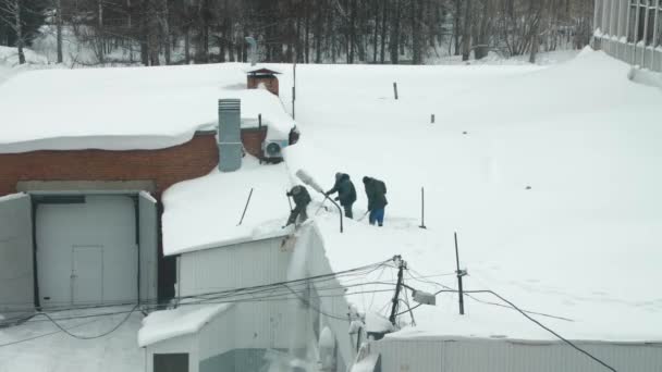 Três pessoas atiram neve do telhado — Vídeo de Stock