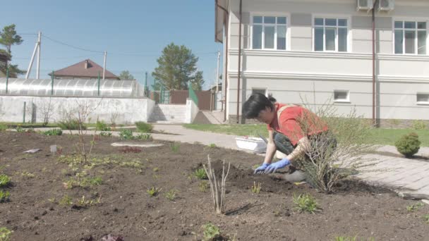 Азиатка работает в саду в солнечный день — стоковое видео