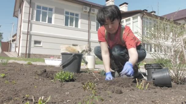 Femme asiatique travaille dans le jardin par une journée ensoleillée — Video