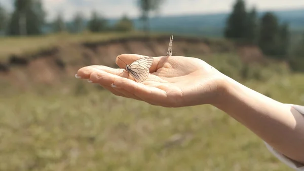 Chica sosteniendo una mariposa en sus manos, volar lejos —  Fotos de Stock