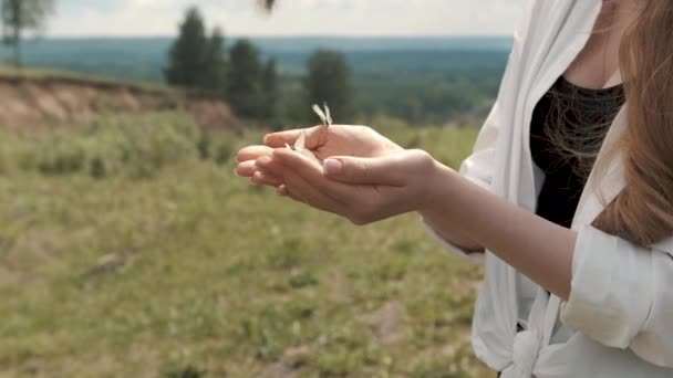Meisje met een vlinder in haar handen, vlieg weg — Stockvideo