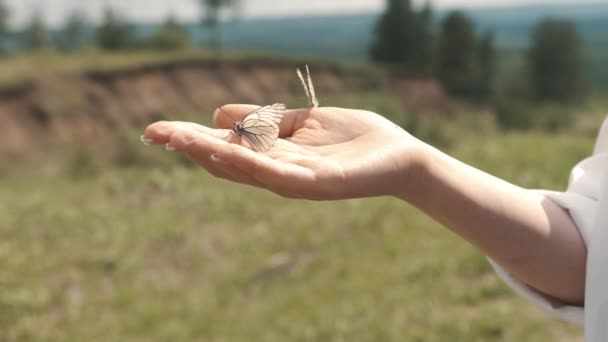 Menina segurando uma borboleta em suas mãos, voar para longe — Vídeo de Stock