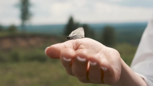 Ragazza che tiene una farfalla tra le mani, vola via — Video Stock