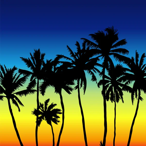 Szene bei Sonnenuntergang mit Palmen — Stockvektor