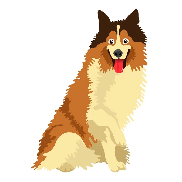 Netter Hund der Rasse Collie — Stockvektor