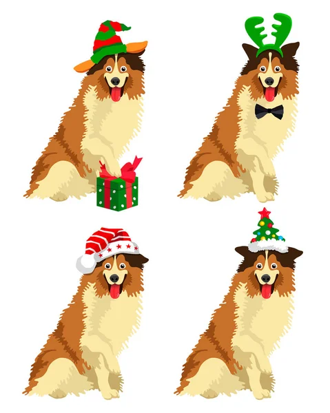 Niedlicher Collie Hund mit Neujahrsmütze — Stockvektor