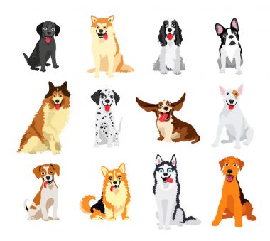 Farklı cins set köpekler.