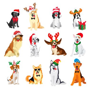 Yeni yıl köpekler kümesi