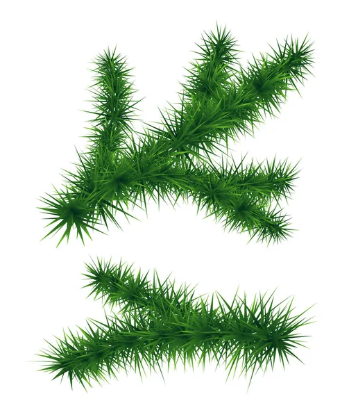 Tannenzweige. Weihnachtsbaum — Stockvektor