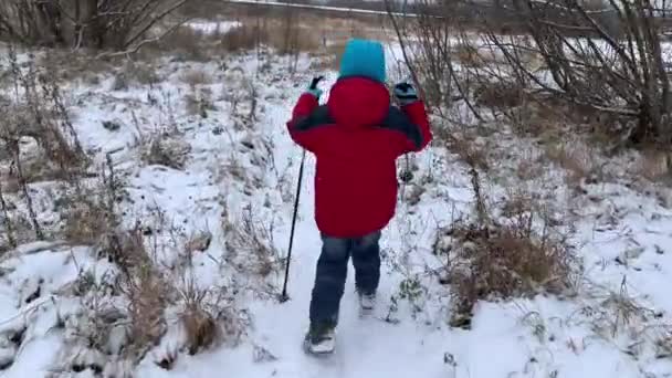 一个穿着红色夹克的小男孩拿着手杖走着 让北欧人沿着雪地的小路走着去学校体育馆 — 图库视频影像