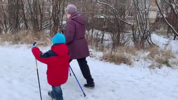 Babička Její Vnuk Jsou Zapojeni Severské Procházky Zimě — Stock video