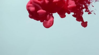 Beyaz arka planda kırmızı-pembe renkli fantastik yavaş çekim mürekkebi. Kırmızı boyayı çok iyi fırlattın. Sudaki boyaların pürüzsüz hareketi. Soyut mürekkep arkaplanı.