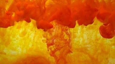Sarı arka planda yavaş çekimde turuncu suluboya mürekkep. Güçlü bir turuncu boya patlaması. Sudaki boyaların pürüzsüz hareketi. Soyut mürekkep arkaplanı.