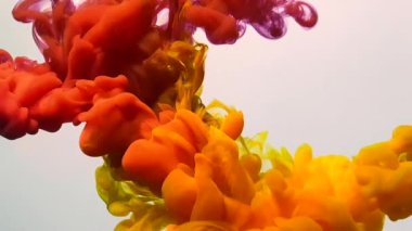 Kırmızı ve sarı suluboya mürekkebin beyaz arkaplanda nasıl birleştiğini gösteren bir video. Güçlü bir turuncu boya patlaması. Sudaki boyaların pürüzsüz hareketi. Soyut mürekkep arkaplanı.