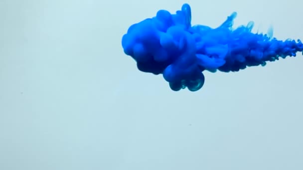 Гипнотические Синие Акварельные Чернила Замедленного Движения Белом Фоне Мощный Запуск — стоковое видео