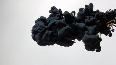 Siyah soyut arka plan. Şık bir arka plan. Siyah suluboya mürekkep suda çok güzel yayılır. Beyaz arkaplandaki akrilik mürekkebin pürüzsüz hareketi.