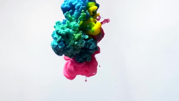 Slow Motion Video Red Pink Blue Yellow Watercolor Inks Spin — 图库视频影像