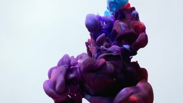 Les Encres Aquarelles Mouvement Lent Bleu Rouge Violet Tournent Magnifiquement — Video