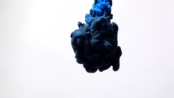 Abstracte Achtergrond Stijlvolle Achtergrond Zwarte Blauwe Aquarelinkten Draaien Prachtig Water — Stockvideo