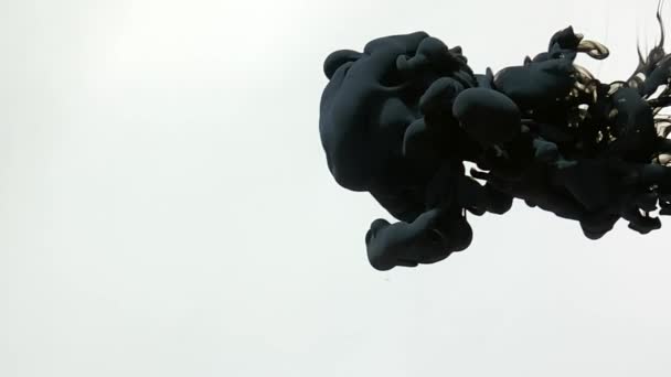 Μαύρο Αφηρημένο Φόντο Κομψό Φόντο Μαύρο Μελάνι Ακουαρέλα Στροβιλίζεται Όμορφα — Αρχείο Βίντεο