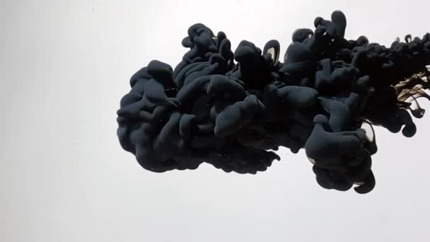 Schwarzer Abstrakter Hintergrund Stilvoller Hintergrund Schwarze Aquarellfarbe Breitet Sich Schön — Stockvideo